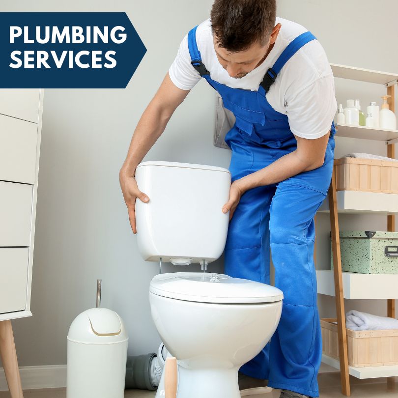 Plumbing Company in Cedar Mountain, NC